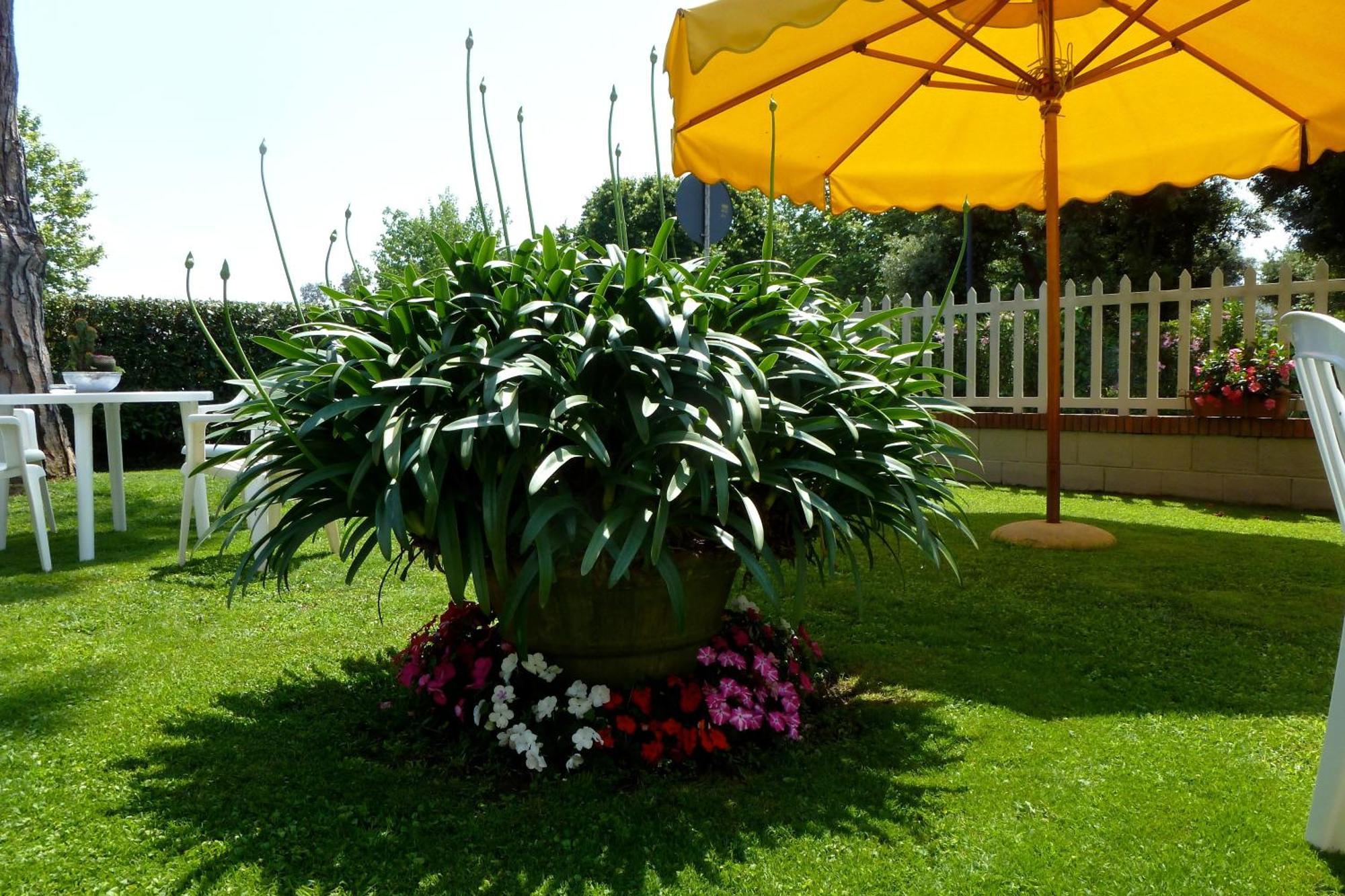 לידו די קאמאיורה Hotel Versilia מראה חיצוני תמונה