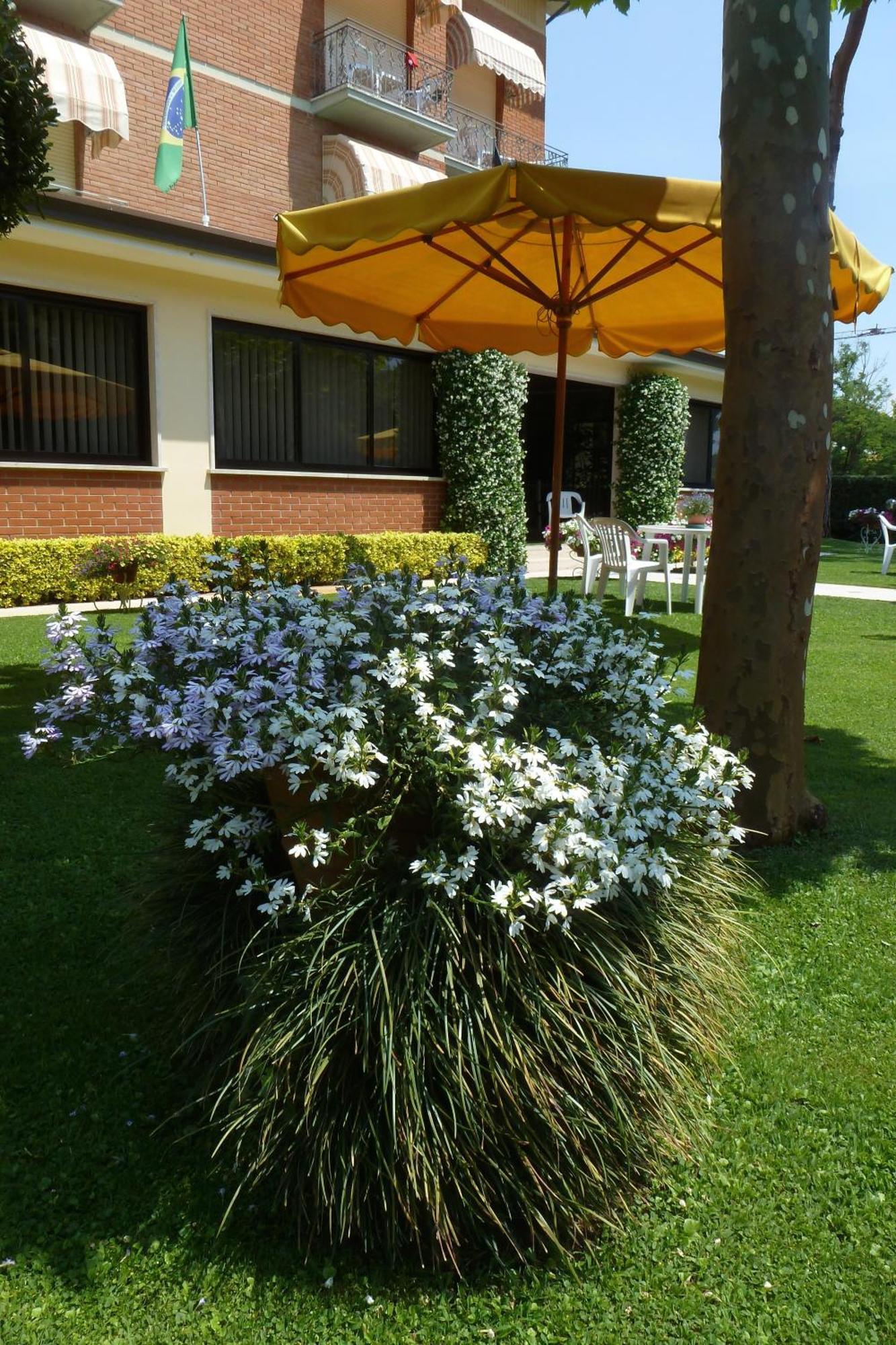 לידו די קאמאיורה Hotel Versilia מראה חיצוני תמונה